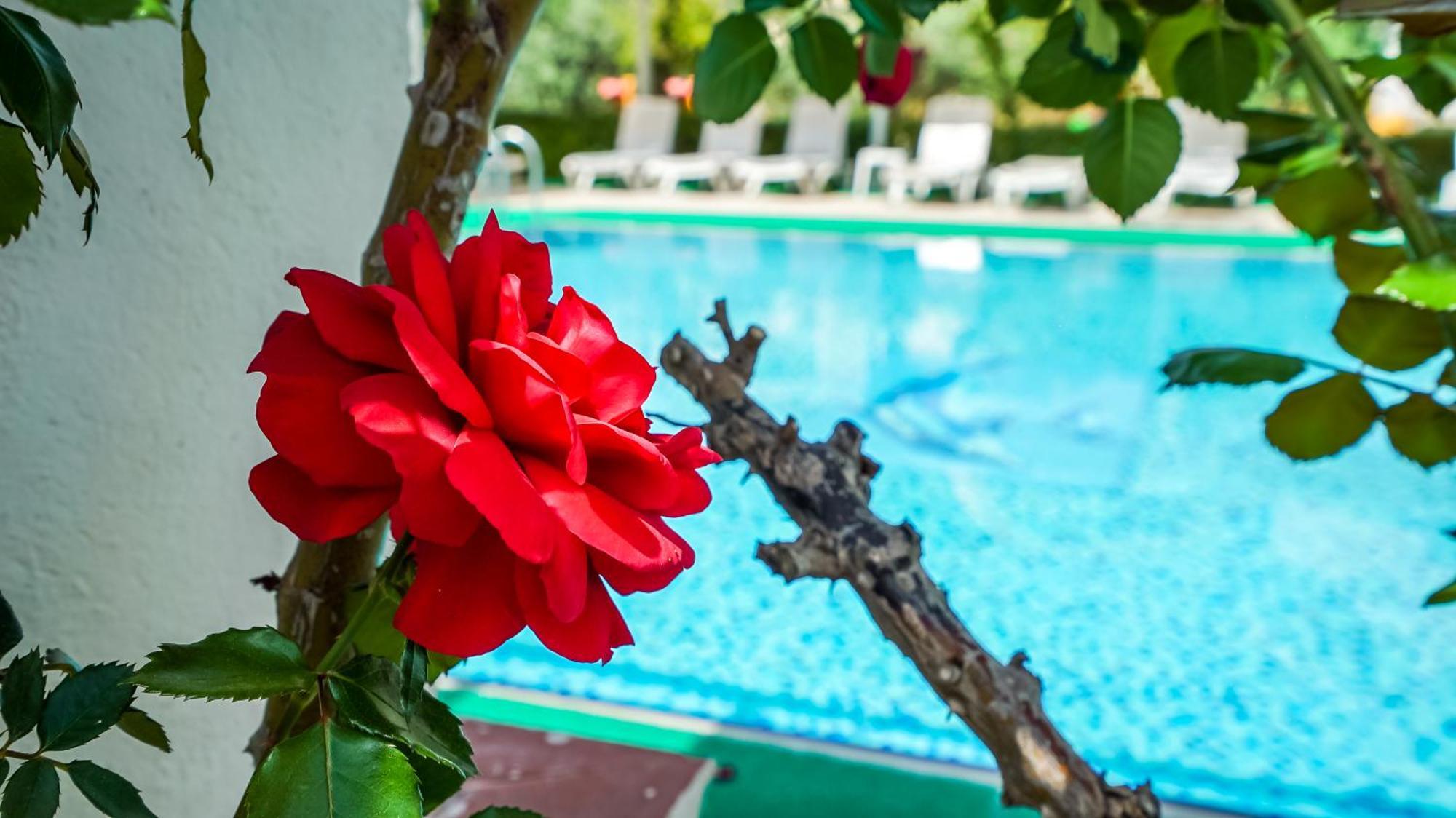 Hotel apartamentowy Catty Cats Garden 3*
