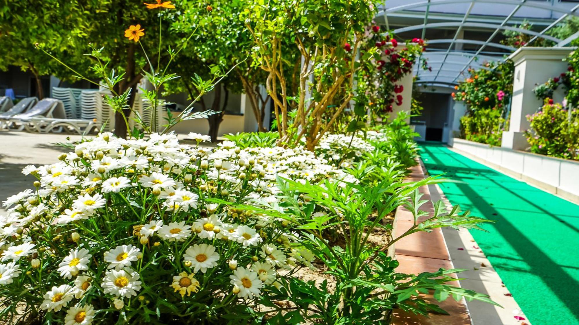 Hotel apartamentowy Catty Cats Garden