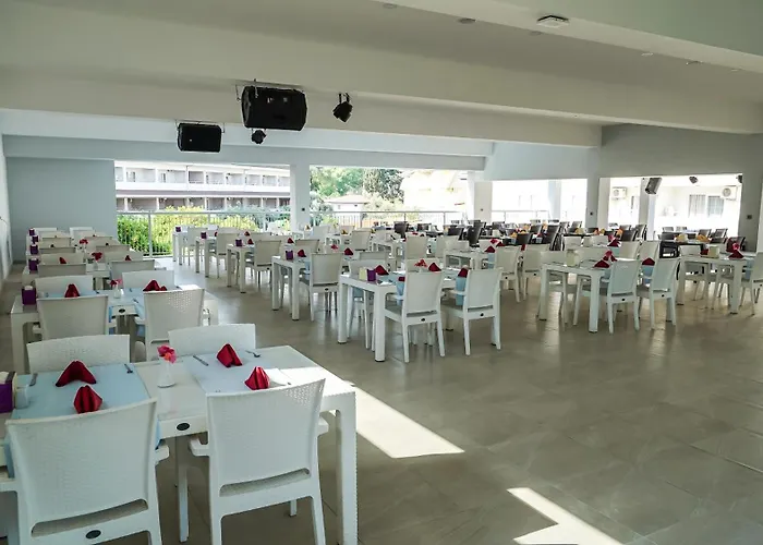 Catty Cats Garden Hotel